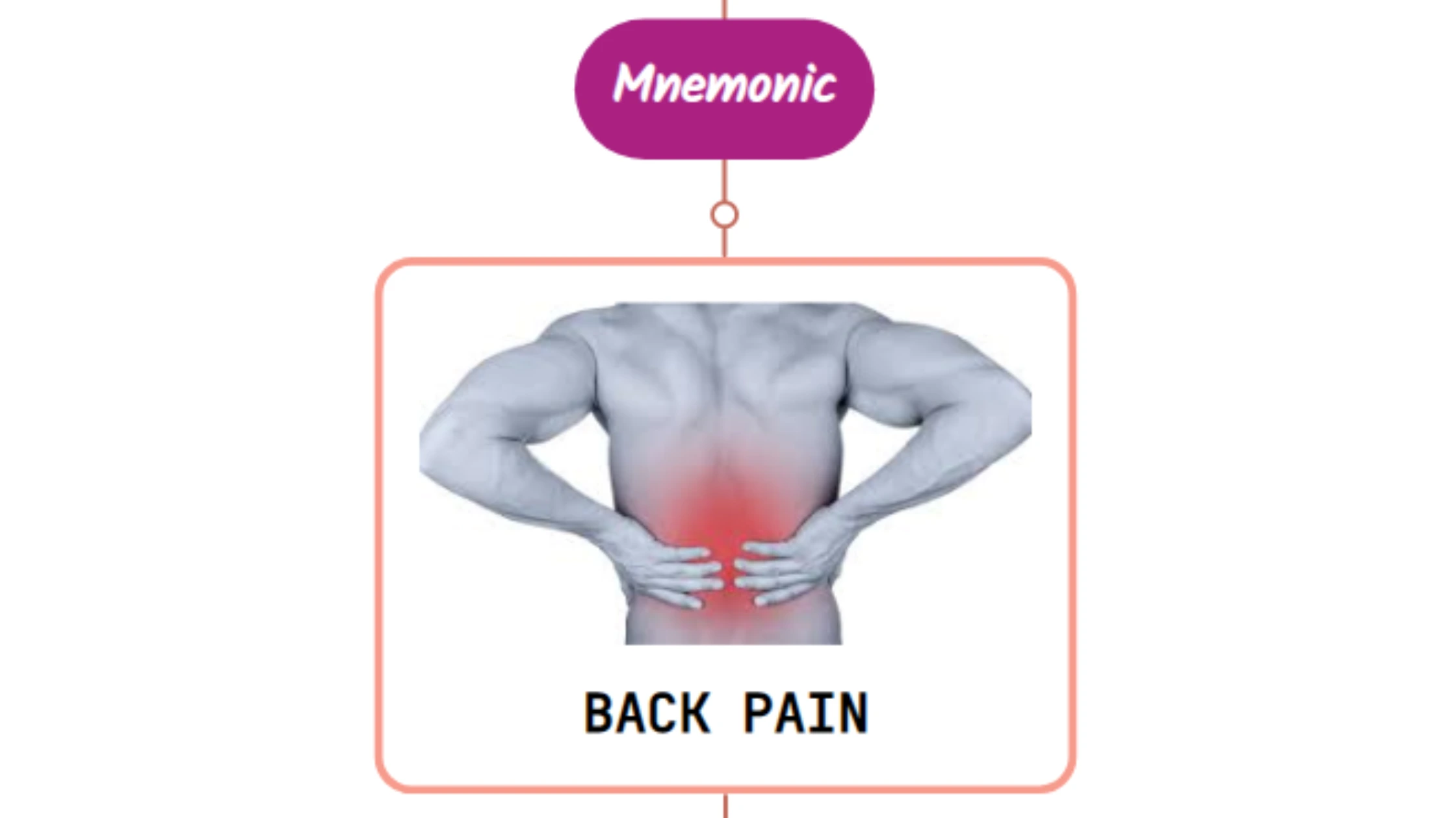 You are currently viewing Postural Back Pain : Mnemonics