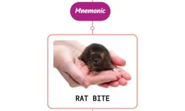 Rat-Bite Fever Rash: Mnemonic [NEVER FORGET AGAIN]