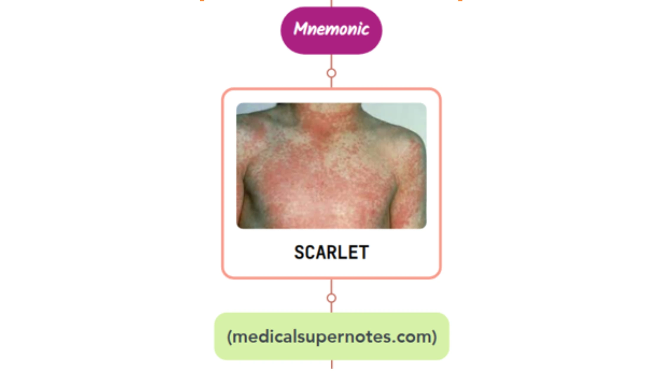 You are currently viewing Scarlet Fever Rash Mnemonic : [NEVER FORGET AGAIN]