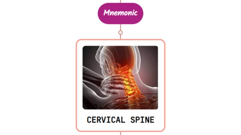 Read more about the article Trauma To The Cervical Spine : Mnemonics