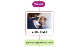 Viral Hemorrhagic Fever Rash Mnemonic