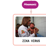 Read more about the article Zika Virus Infection Rash Mnemonic : [NEVER FORGET AGAIN]