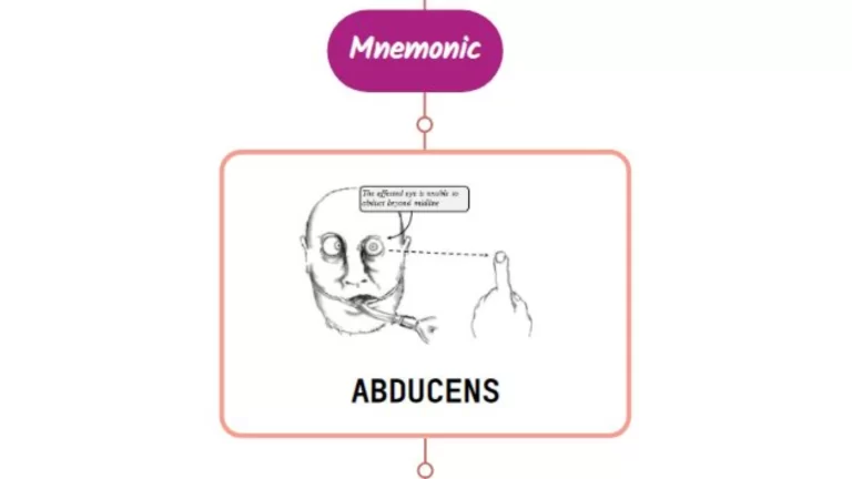 Read more about the article Abducens Nerve Disorder – Mnemonic