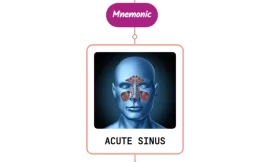 Acute Sinusitis – Mnemonic