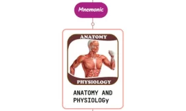 Anatomy & Physiology Of Gait Disorder Mnemonic