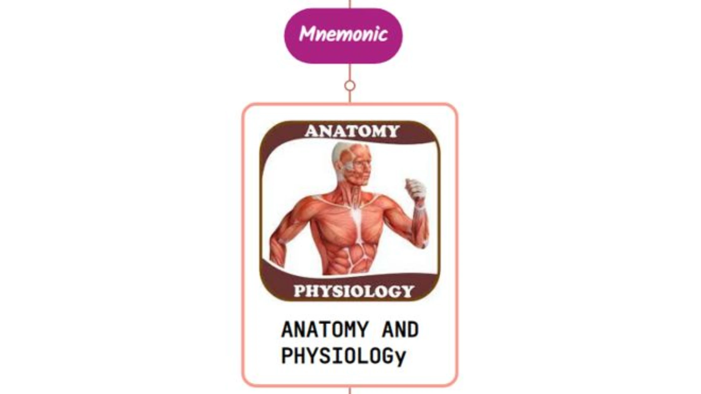 You are currently viewing Anatomy & Physiology Of Gait Disorder Mnemonic