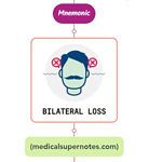Read more about the article Bilateral Vestibular Hypofunction Mnemonic