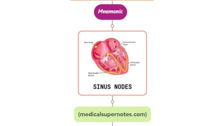 Read more about the article Cardiac Syncope Mnemonic