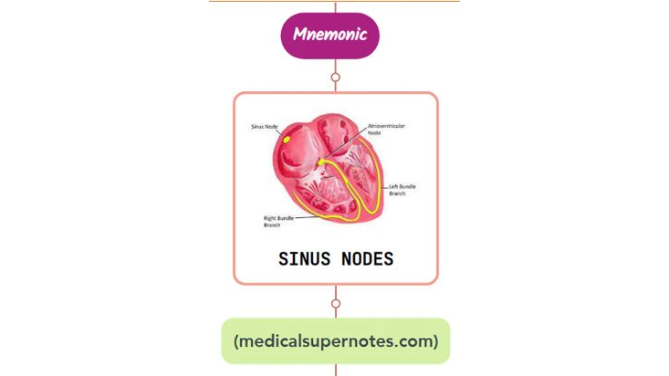 You are currently viewing Cardiac Syncope Mnemonic