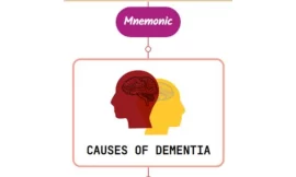 Causes Of Dementia Mnemonic