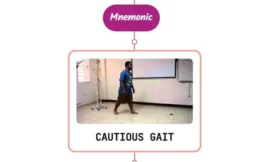 Cautious Gait Mnemonic