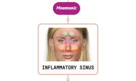 Chronic Sinusitis – Mnemonic