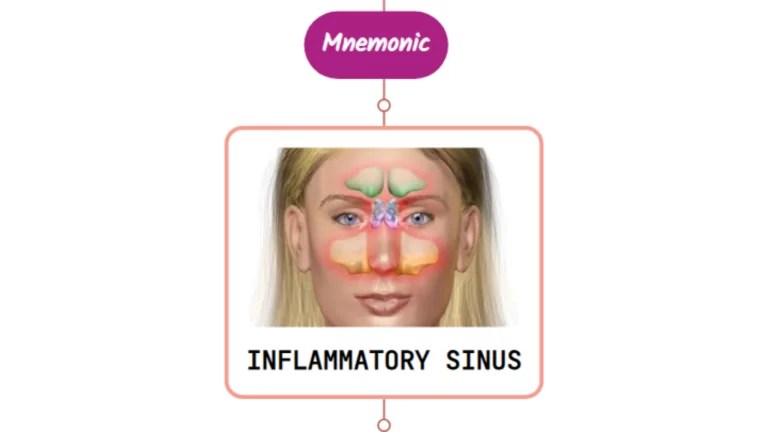 Read more about the article Chronic Sinusitis – Mnemonic