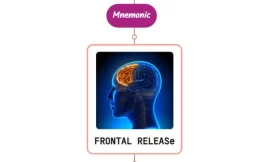 Clinical Examination Of Frontal Lobes Mnemonic