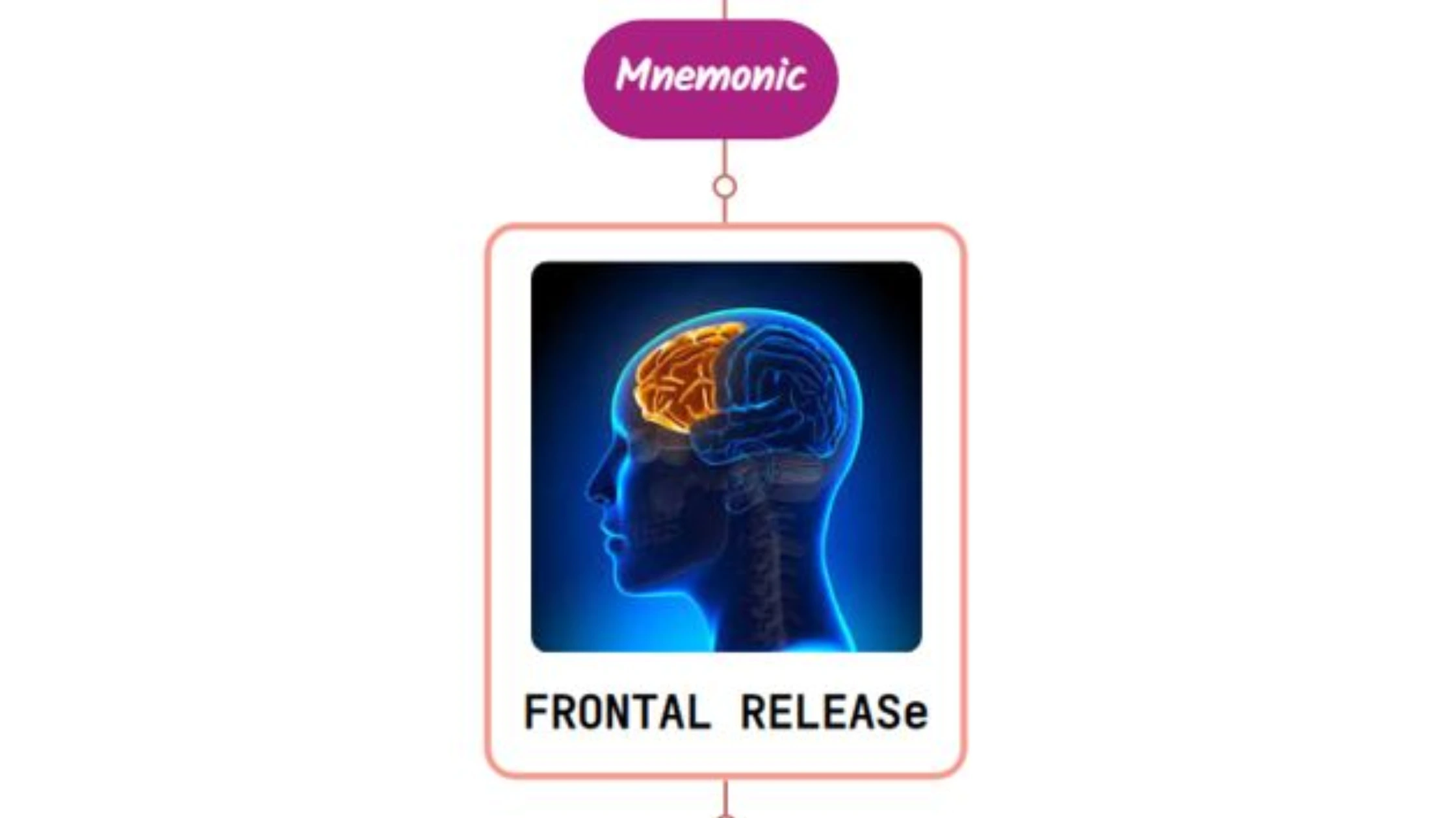 You are currently viewing Clinical Examination Of Frontal Lobes Mnemonic