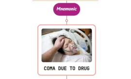 Coma Due to Metabolic, Drug, and Toxic Disorders Mnemonic