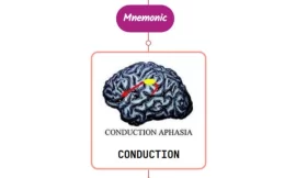 Conduction Aphasia Mnemonic