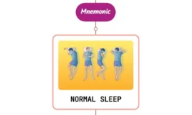 Delayed Sleep-Wake Phase Disorder Mnemonic