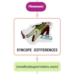 Read more about the article Differential Diagnosis of Syncope Mnemonic