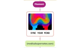 Epidemiology And Natural History Of Syncope Mnemonic