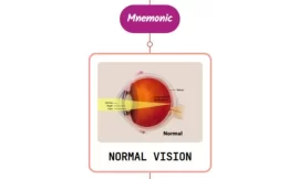 Eye Movements And Alignment Mnemonic
