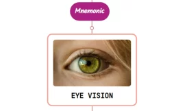Eye Symptoms In Classic Migraine – Mnemonic