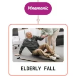 Read more about the article Factors Affecting Falls In Elderly Mnemonic