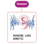 Read more about the article Genetic Causes Of Hearing Loss – Mnemonic