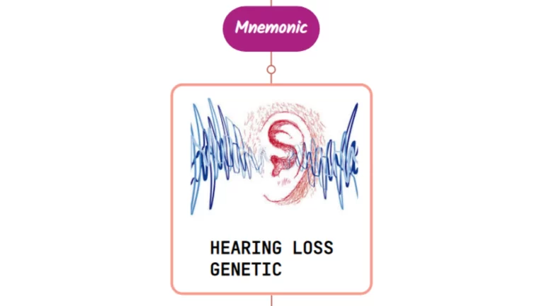Read more about the article Genetic Causes Of Hearing Loss – Mnemonic