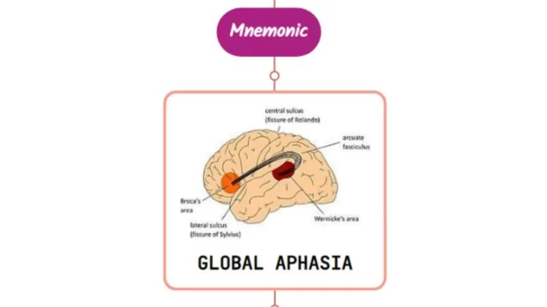 Read more about the article Global and Isolation Aphasias Mnemonic