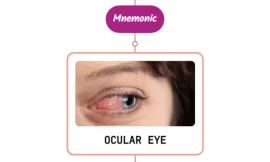 Herpes Zoster Infection In Eye Mnemonic