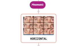 Horizontal Gaze – Mnemonic