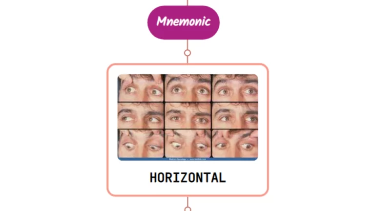 Read more about the article Horizontal Gaze – Mnemonic