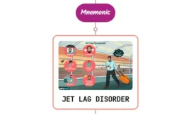 Jet Lag Disorder Mnemonic