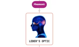Leber’s Hereditary Optic Neuropathy Mnemonic