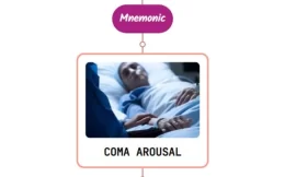 Level Of Arousal In Coma Mnemonic