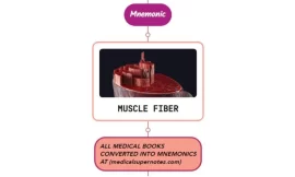 Lower Motor Neuron Weakness Mnemonic