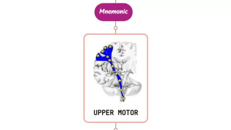 Read more about the article Monoparesis Mnemonic