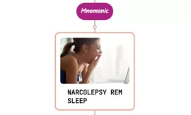 Narcolepsy Mnemonic