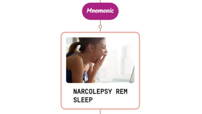 Read more about the article Narcolepsy Mnemonic