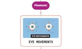 Ocular Movements In Coma Mnemonic