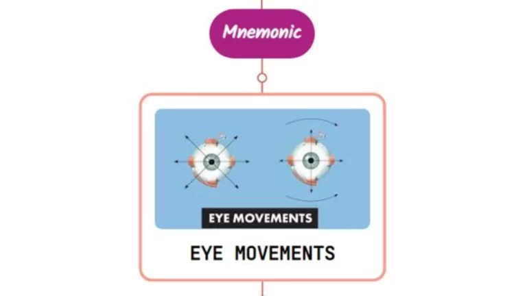 Read more about the article Ocular Movements In Coma Mnemonic