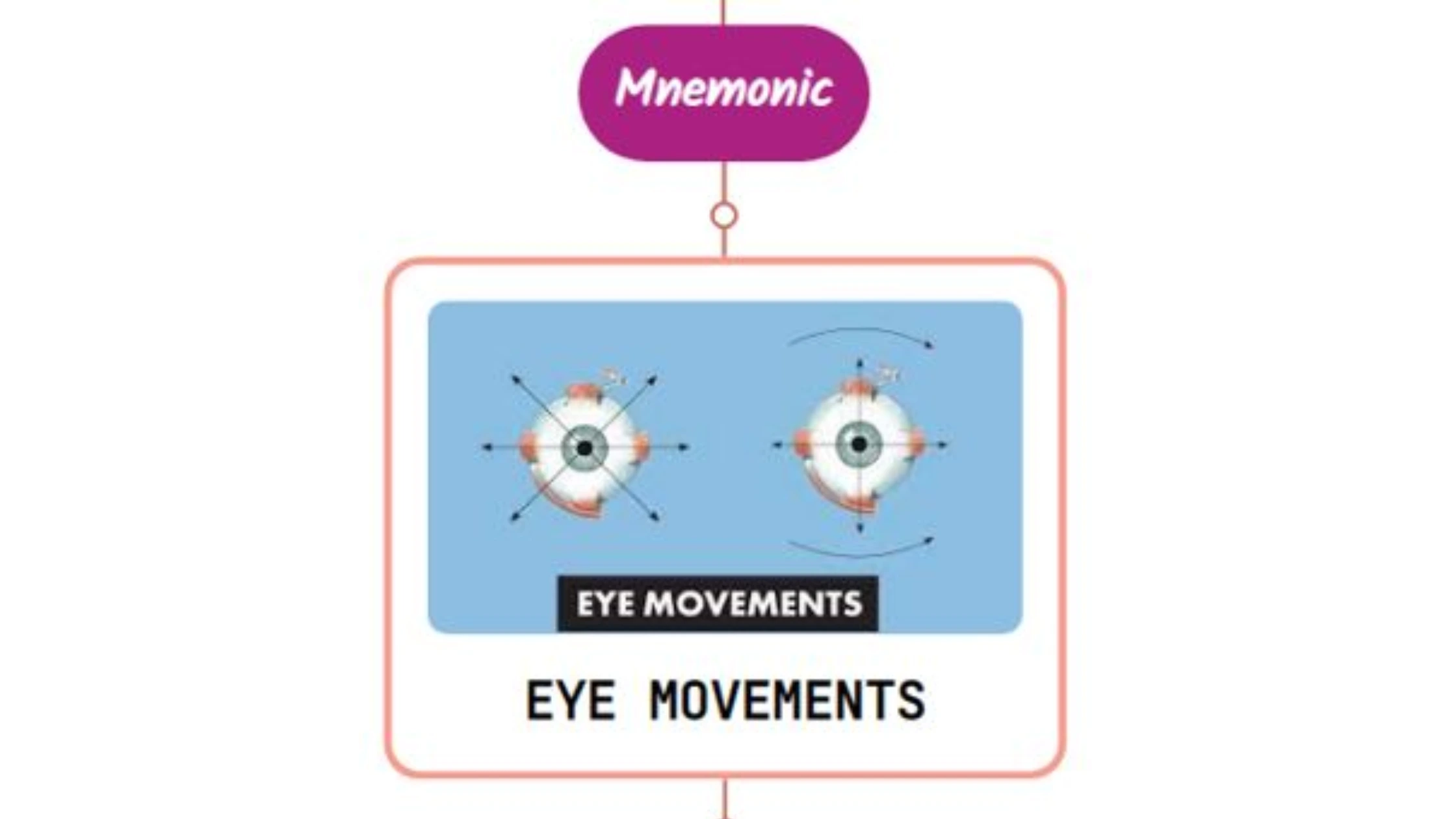 You are currently viewing Ocular Movements In Coma Mnemonic