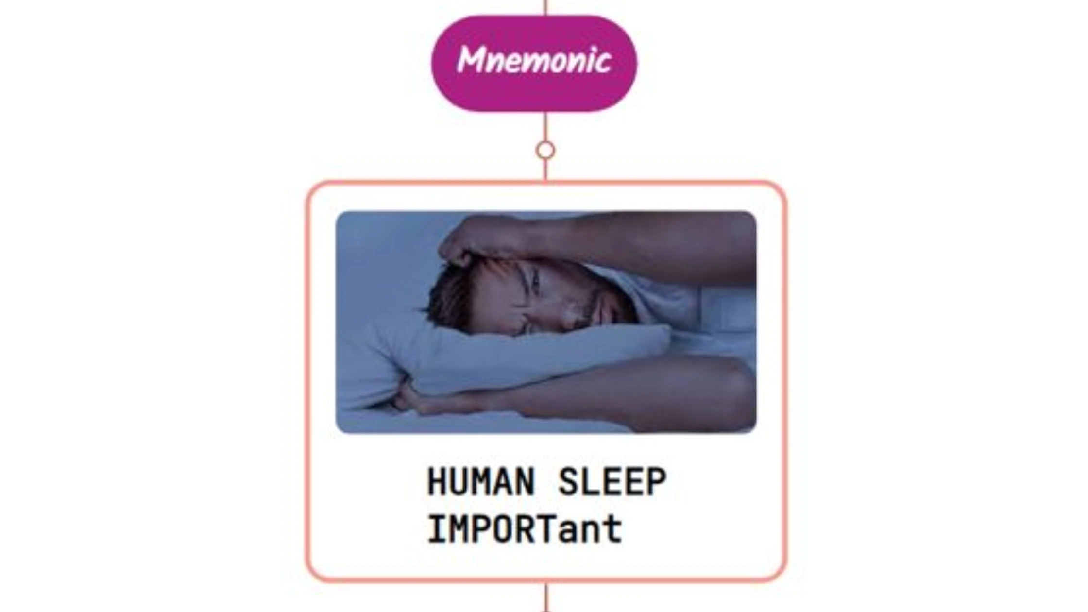 You are currently viewing Organization of Human Sleep Mnemonic