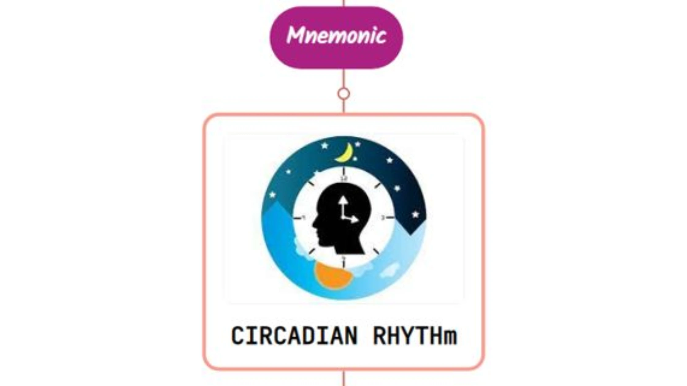 You are currently viewing Physiology Of Circadian Rhythmicity Mnemonic