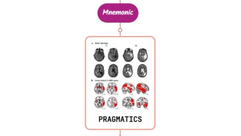Read more about the article Pragmatics and Prosody Mnemonic