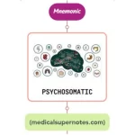 Read more about the article Psychosomatic And Functional Dizziness Mnemonic