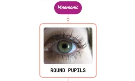 Pupillary Signs In Coma Mnemonic