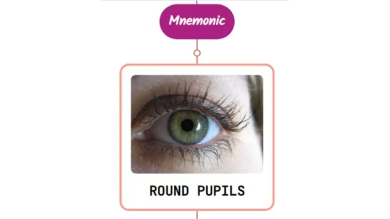 Read more about the article Pupillary Signs In Coma Mnemonic