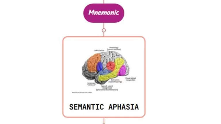 Read more about the article Semantic Primary Progressive Aphasia Mnemonic